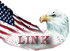 usa_pointer.GIF (3341 byte)